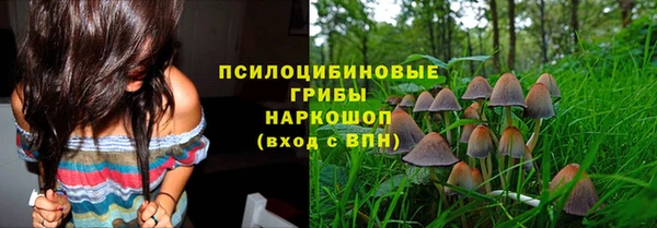 спиды Покров