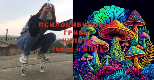 мдпв Покачи